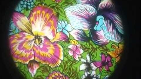 13338 Effectwiel Bloemen