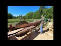 sawing a couple of pine logs on the m 14 belsaw 6-2-2020