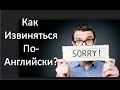 Английский Для Начинающих. Как Извиняться По-Английски. Английский На Каждый День