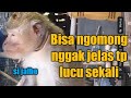 jalak kebo ngomong nggak jelas tp lucu