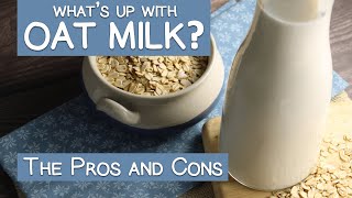 What's Up with OAT MILK? The Pros and Cons | Commercial Vs Homemade