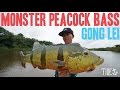 Monster peacock bass  gong lei  tide apparel