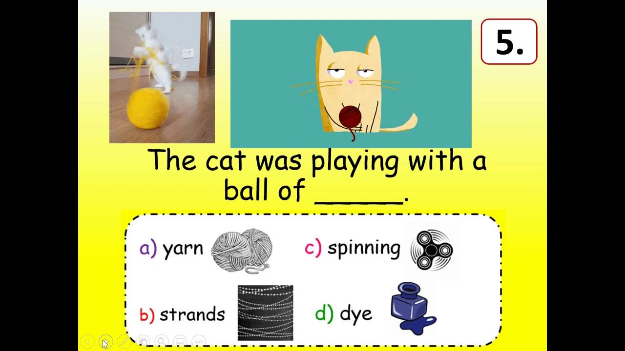 Second Grade Journeys' Lesson 23 VOCABULARY REVIEW SENTENCES for The