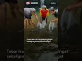 Pulihkan Ekosistem Perairan: Aksi Kang Teten Tebar Benih dan Indukan Ikan Lokal