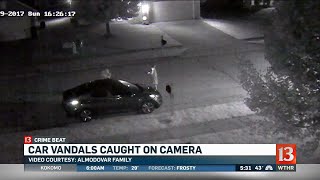 Car vandals strike three neighborhoods