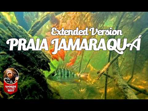 Jamaraqua Fish ext. Version