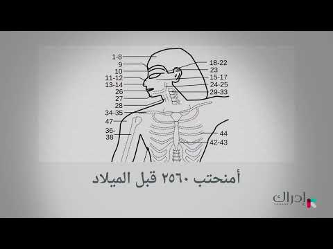 المكافحة والتوعية بمرض السرطان - متى ظهر مرض السرطان وكيف تم علاجه؟ (الجزء الأول)