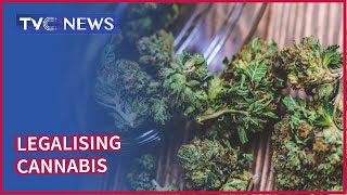 Experts speak on economic significance of legalising Cannabis market in Nigeria