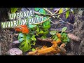 Upgrading My Anoles - Vivarium Cage Build | KristenLeannimal