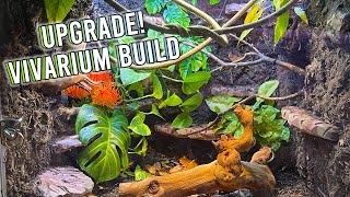 Upgrading My Anoles - Vivarium Cage Build | KristenLeannimal