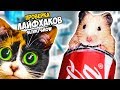 3 ЛАЙФХАКА от SLIVKISHOW - Ловушка для СТЁПЫ