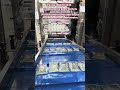 6-nozzle viscous sauce sachet packing machine,suitable for packing honey,chili sauce,chocolate sauce