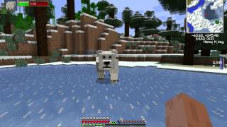 Damage Indicators 2.6.1 Visual Bug