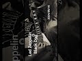 Led Zeppelin - Black Dog - #ledzeppelin #ギター弾いてみた Led Zeppelin - Black Dog - #ledzeppelin #ギター弾いてみた:w32:h24