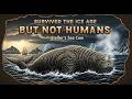 The Ice Age Survivor That Couldn’t Escape Humans | The Tragic Extinction of Steller’s Sea Cow