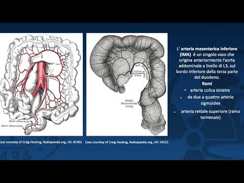 Video: Come curare la pneumatosi?