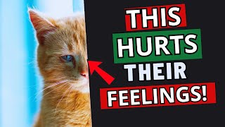 22 Everyday Things That Break Your Cat's Heart 💔