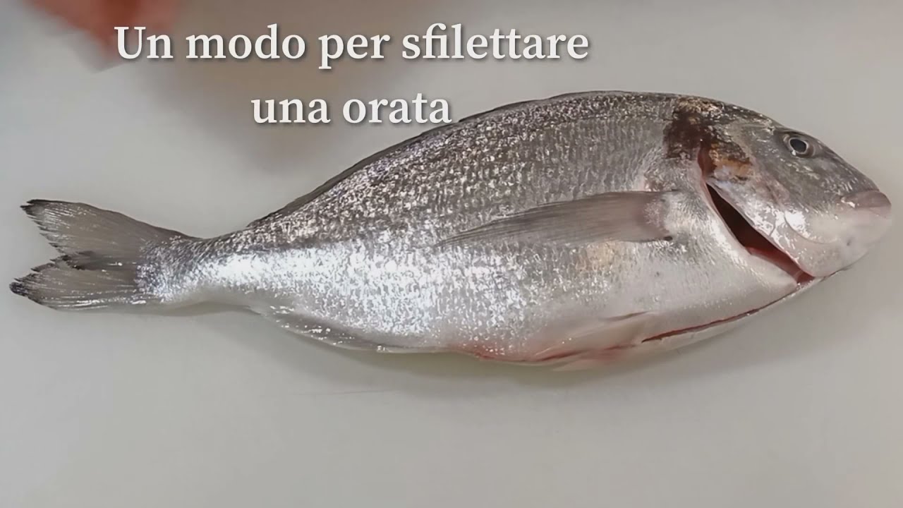 Come sfilettare un'orata in modo semplice