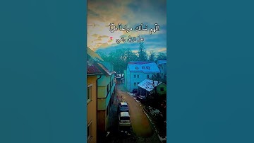 تلاوات خاشعه بصوت سعد الغامدي/من سورة نوح/حالات واتساب دينيه