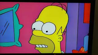 The Simpsons- Homer Yells At Bart