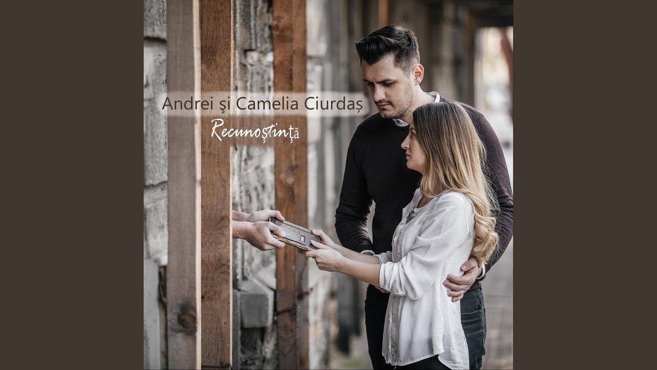 Te-Ai Sfărâmat Tu Vasule