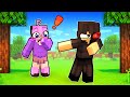 Becoming a bodyguard in minecraft