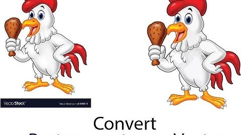 How to Convert Raster to Vector in Illustrator (Vector Stock Image use for free)