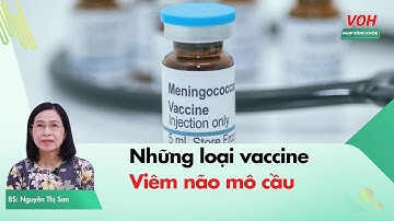 Có mấy loại vaccine viêm não mô cầu? | Nhịp Sống Khỏe VOH