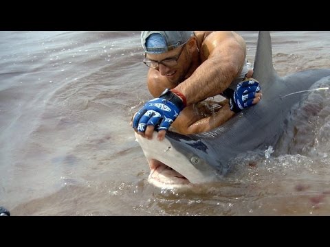 Watch This Man Wrestle a Shark to Shore with His Bare Hands