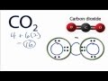 Lewis Structure of Carbon Dioxide