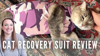 Cat Recovery Suit After Surgery: The Ultimate ECollar Alternative!