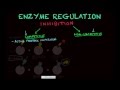 Enzyme Regulation Quiz