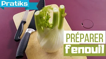 Est-ce que le fenouil est un légume vert ?