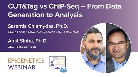 [WEBINAR] CUT&Tag vs ChIP-Seq - From Data Generation to Analysis by Active Motif and Basepair