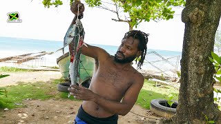 Spearfishing In Rough seas For Food Catch & Cook