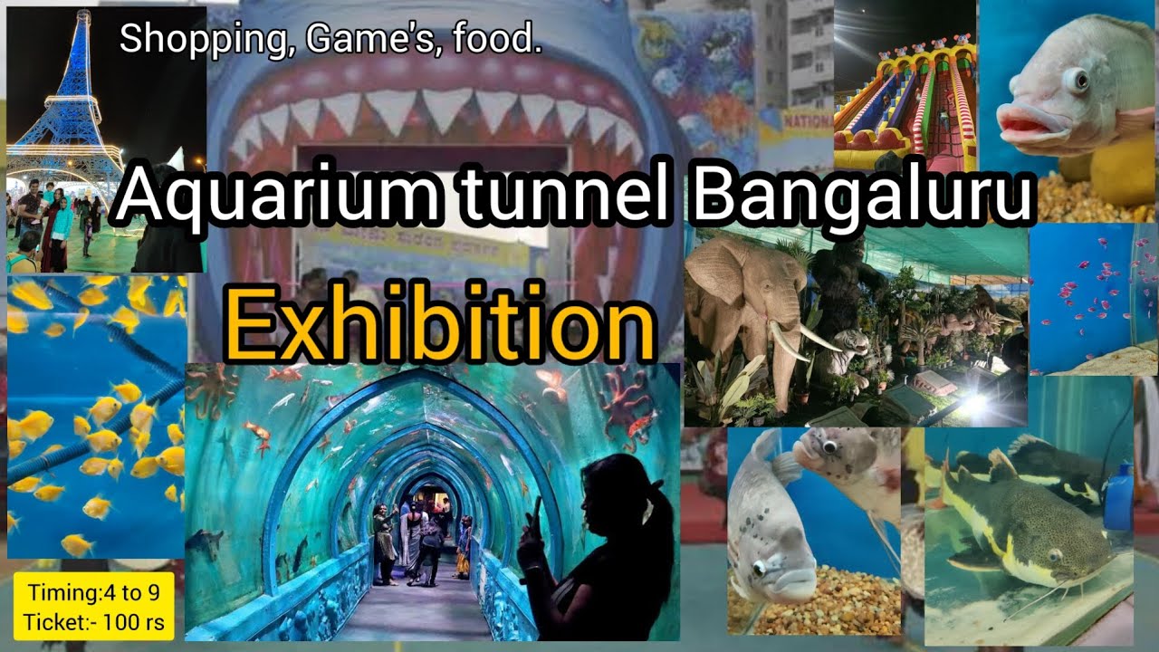 Under water big Aquarium tunnelin Bangalurukengeri Bus stand terminal