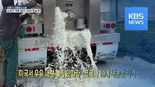 [코로나19 국제뉴스] 미국서 우유 대량 폐기 잇따라……