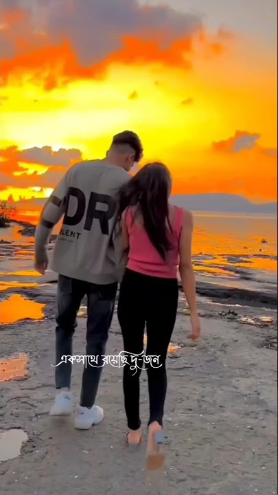 Ek Sathe Royechi Dujon aki dore bandha duti pran lofisongStatus)#banglastatus#shorts #short #astheti