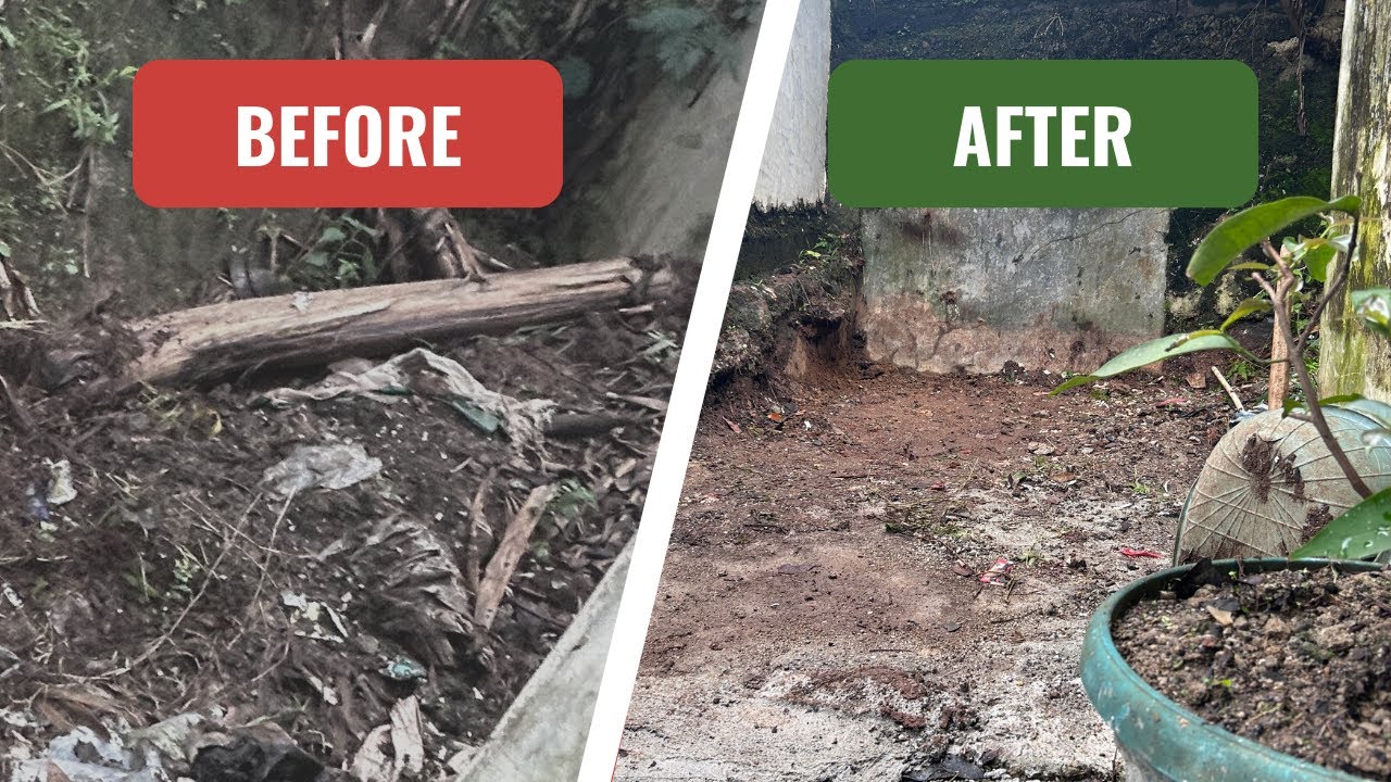 Bikin Kebun Ketahanan Pangan di Samping Rumah