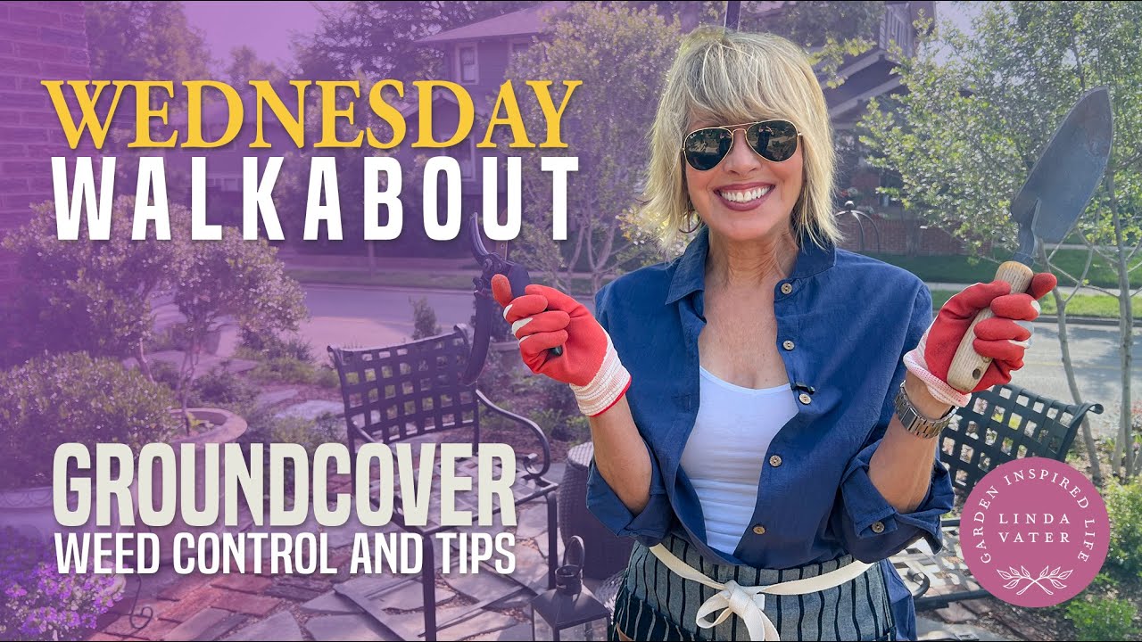 Gardening Tips: Ground Covers and Weed Control!