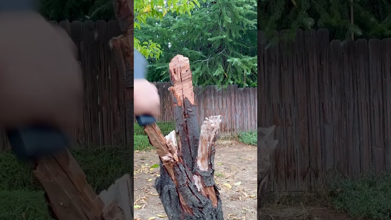 Кустовой демон рубит. Зло до мозга костей.