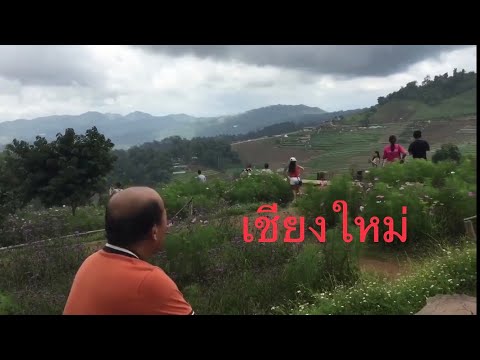 Video: Fruit Paradise Ntawm Thaib Teb