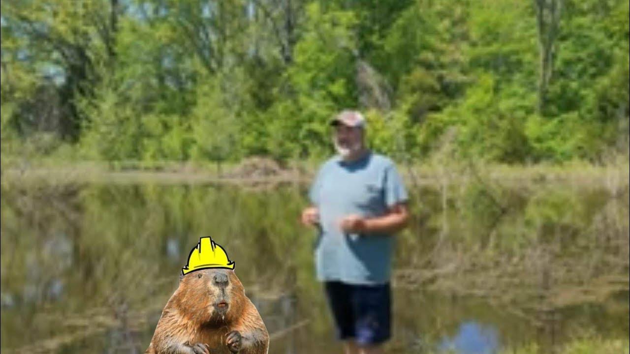 Beaver Deceiver YouTube