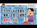 アラヤシキの言葉を毎朝、２回、３週間で　運勢が、好転
