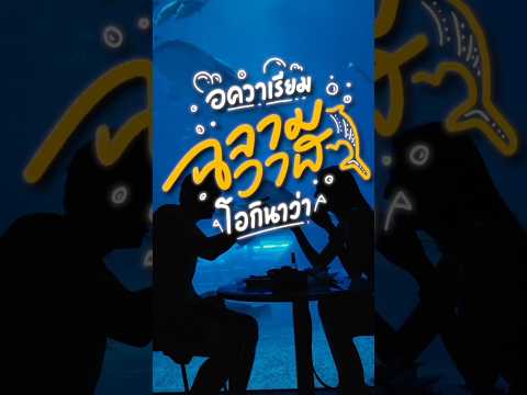 ดูฉลามวาฬที่อควาเรียมที่ใหญ่ที่สุดในญี่ปุ่น