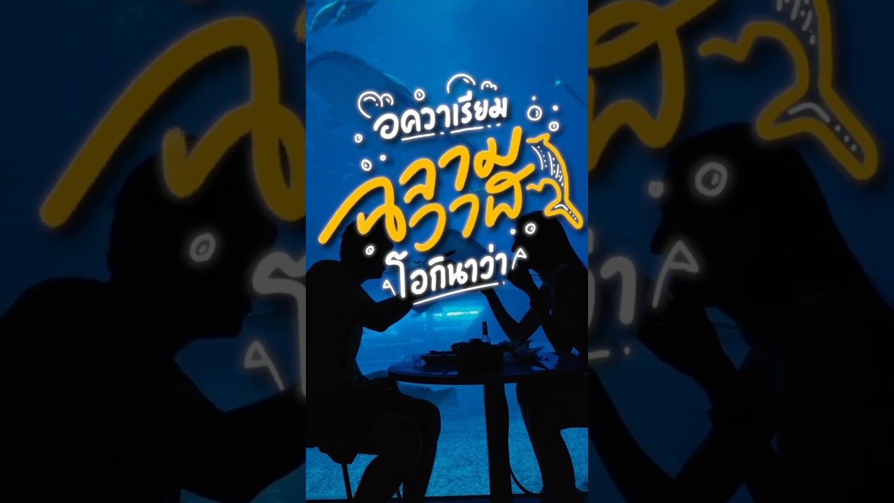 ดูฉลามวาฬที่อควาเรียมที่ใหญ่ที่สุดในญี่ปุ่น
