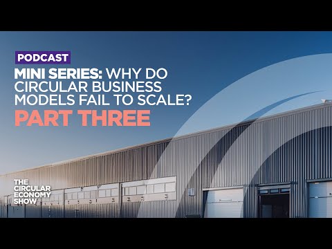 Why do circular business models fail to scale? Relying on a narrow business case