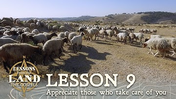 Appreciate Those who Take Care of You: Sheep and their Shepherd