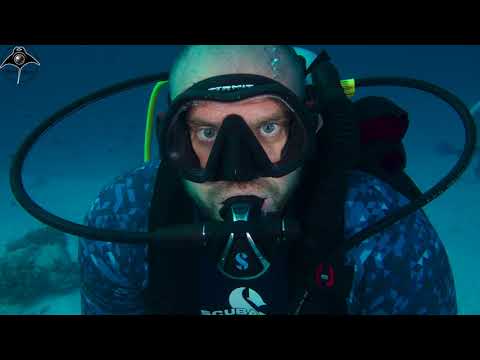 Second Stage Only Scubapro C370 Scuba Diving Regulator