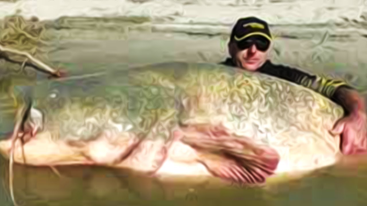 how-to-catch-bigger-fish-resident-evil-4-2023-part-4-youtube